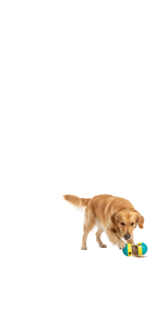 Engages your dog's mind and        promotes healthy, slow eating.