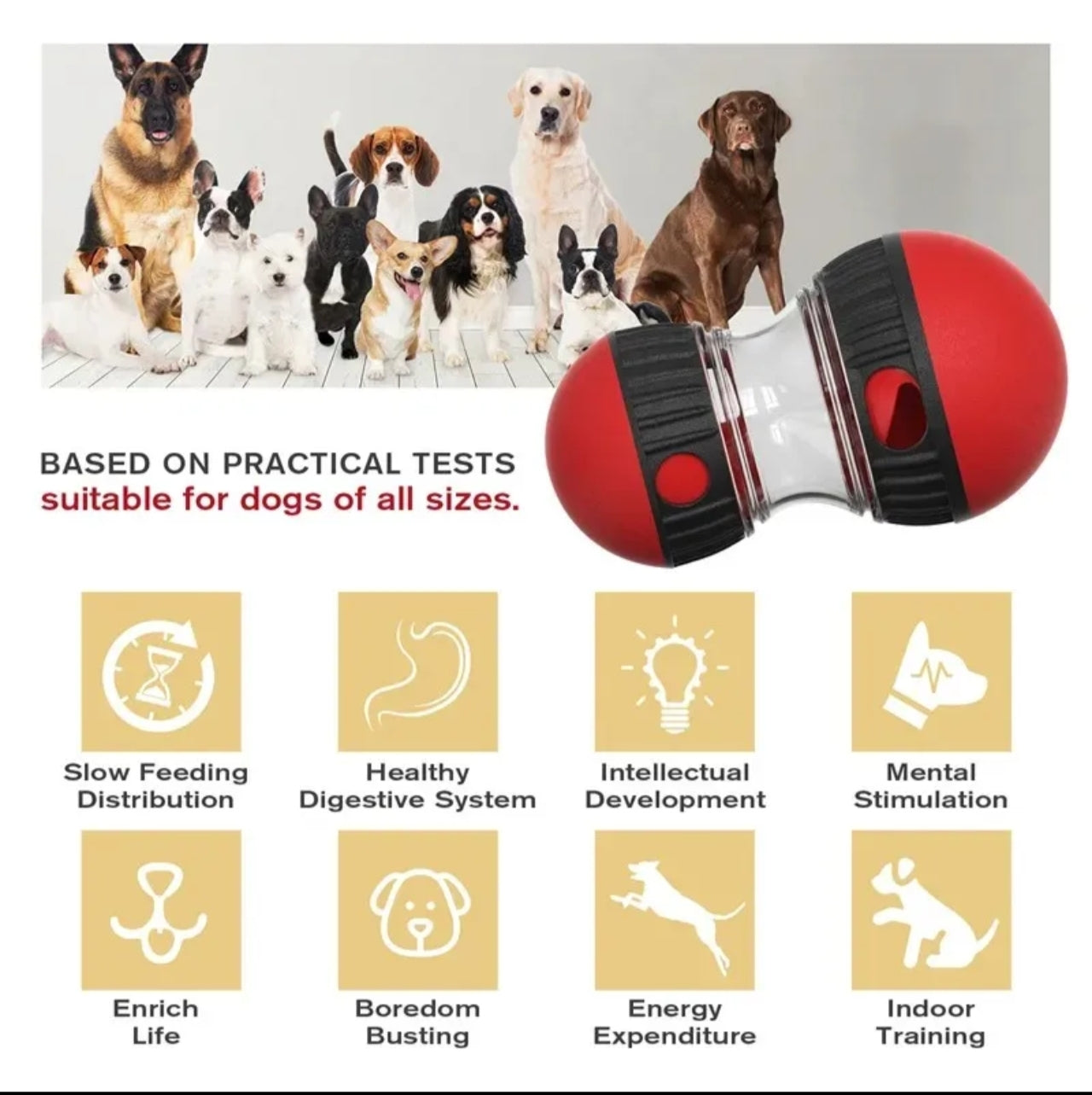 Dog feeder