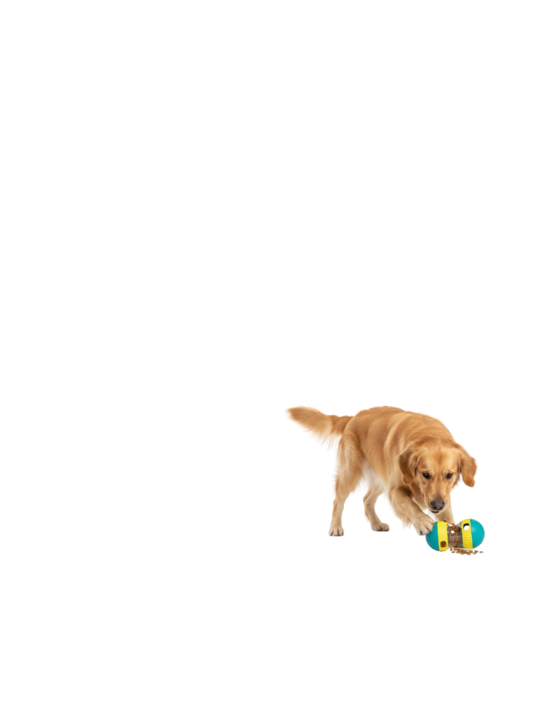 Engages your dog's mind and        promotes healthy, slow eating.